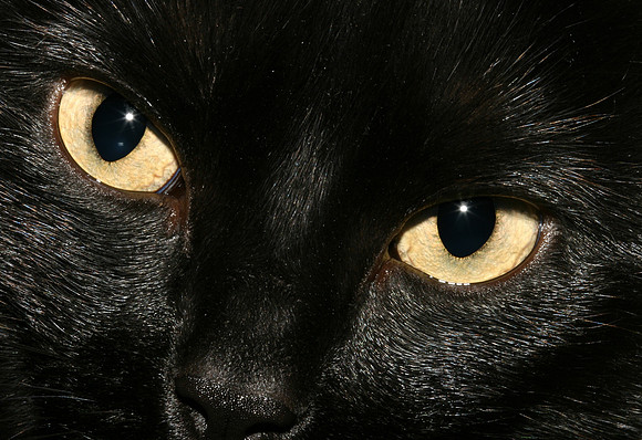 Watching you