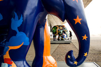 Cardiff Elephants