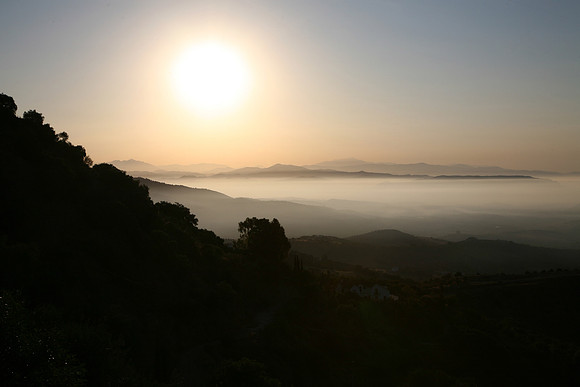 5D_11_00474m