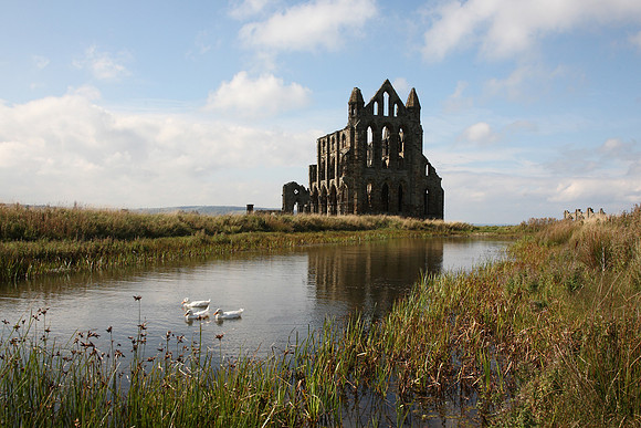 Whitby Abbey
