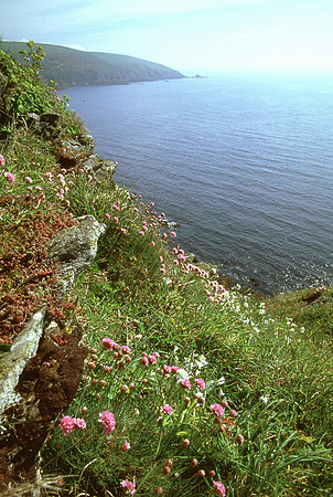 Polperro