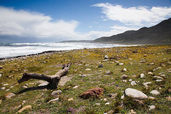 Cape of Good Hope